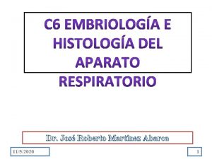 Dr Jos Roberto Martnez Abarca 1152020 1 Describir