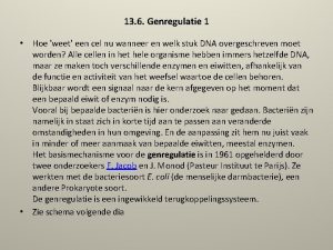 Uitleg epigenetica