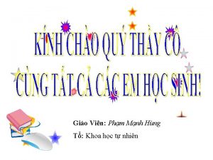 Gio Vin Phm Mnh Hng T Khoa hc Gio Vin Phm Mnh Hng T Khoa hc