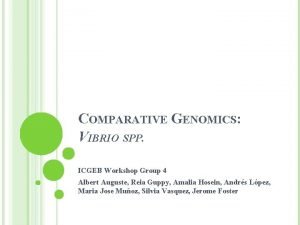 COMPARATIVE GENOMICS VIBRIO SPP ICGEB Workshop Group 4