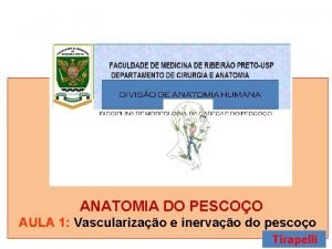 ANATOMIA DO PESCOO AULA 1 Vascularizao e inervao