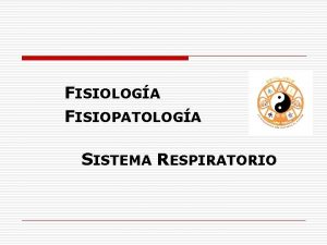 Funcion del sistema respiratorio