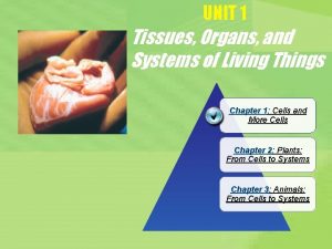 UNIT 1 Tissues Organs and Systems of Living
