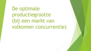 Optimale productiegrootte