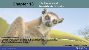 Chapter 18 the evolution of invertebrate diversity