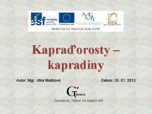 Kapraorosty kapradiny Autor Mgr Jitka Makov Datum 30