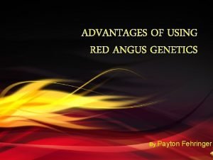 Red angus disadvantages