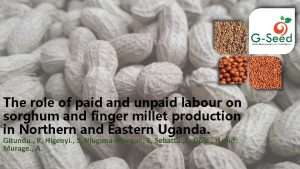 The role of paid and unpaid labour on