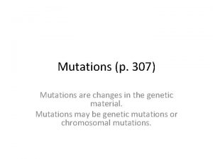 P 307 2016 P 307 2016