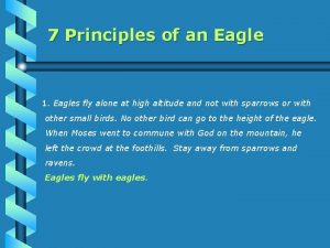 Motivation 7 principles of an eagle