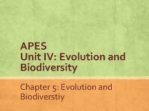 Apes chapter 5