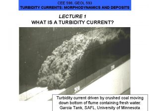 CEE 598 GEOL 593 TURBIDITY CURRENTS MORPHODYNAMICS AND