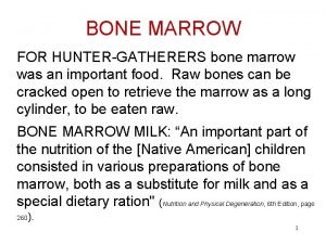 BONE MARROW FOR HUNTERGATHERERS bone marrow was an