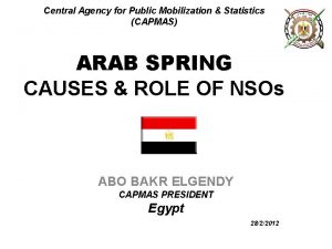 Central Agency for Public Mobilization Statistics CAPMAS ARAB