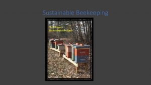 Sustainable Beekeeping Chris Rogers Backwoods Bee farm What