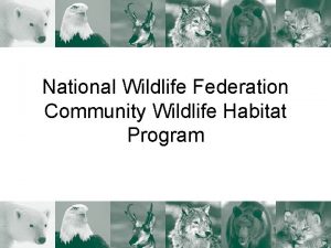 National Wildlife Federation Community Wildlife Habitat Program Why