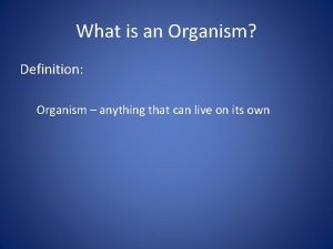 What is an Organism Definition Organism anything that