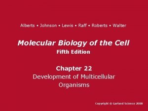 Alberts Johnson Lewis Raff Roberts Walter Molecular Biology