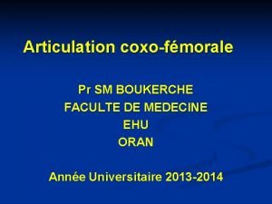 Articulation coxofmorale Pr SM BOUKERCHE FACULTE DE MEDECINE