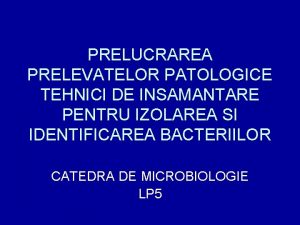 Tehnici de insamantare microbiologie