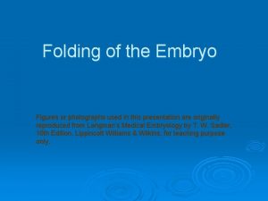 Folding of the Embryo Figures or photographs used