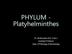 PHYLUM Platyhelminthes Dr Bindhusaran M D Hom Assistant