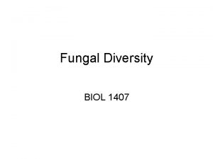 Fungal Diversity BIOL 1407 Fungal Classification Traditionally based