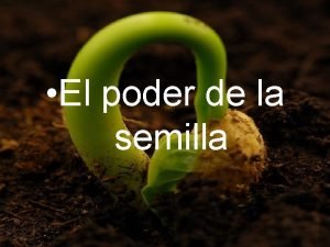 El poder de la semilla predica