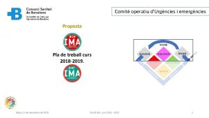 Comit operatiu dUrgncies i emergncies Proposta REFOR Pla