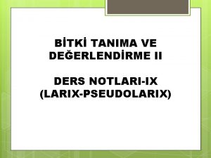 BTK TANIMA VE DEERLENDRME II DERS NOTLARIIX LARIXPSEUDOLARIX