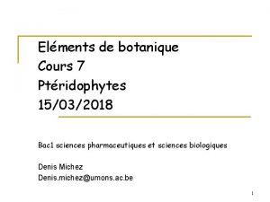 Elments de botanique Cours 7 Ptridophytes 15032018 Bac