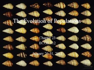 The Evolution of Populations Chapter 23 BCOR 012