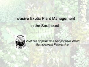 Invasive Exotic Plant Management in the Southeast Southern