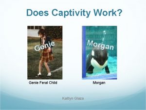 Does Captivity Work Morga n e i n
