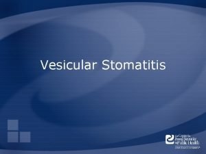 Vesicular Stomatitis Overview Organism Economic Impact Epidemiology Transmission