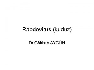 Rabdovirus kuduz Dr Gkhan AYGN RHABDOVRUSES Lyssavirus Rabies