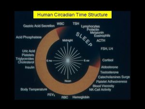 Human Circadian Time Structure Biological Rhythms Almost all