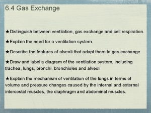 6 4 Gas Exchange Distinguish between ventilation gas