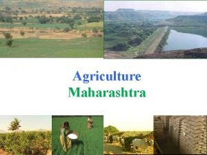 Agriculture Maharashtra Land Utilisation Pattern Area fig in
