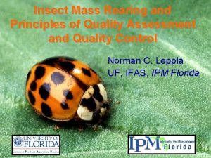 Insect Mass Rearing and Principles of Quality Assessment
