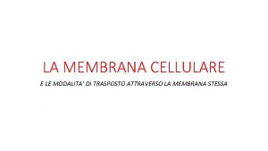 Membrana plasmatica