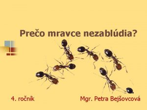 Spoločenstvo mravcov prvouka