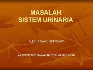 MASALAH SISTEM URINARIA OLEH RAHAYU SETYOWATI AKADEMI KEPERAWATAN