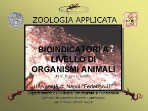 ZOOLOGIA APPLICATA BIOINDICATORI A LIVELLO DI ORGANISMI ANIMALI