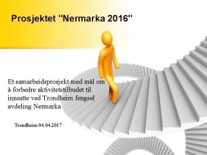 Nermarka 25