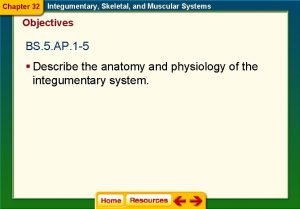 Chapter 32 Integumentary Skeletal and Muscular Systems Objectives