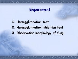 Experiment 1 Hemagglutination test 2 Hemagglutination inhibition test