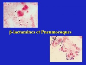 lactamines et Pneumocoques S pneumoniae de sensibilit diminue