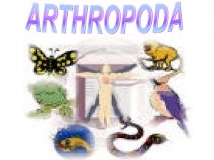 Arthro drama