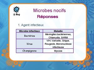 Microbes nocifs 1 Agent infectieux Microbe infectieux Bactries
